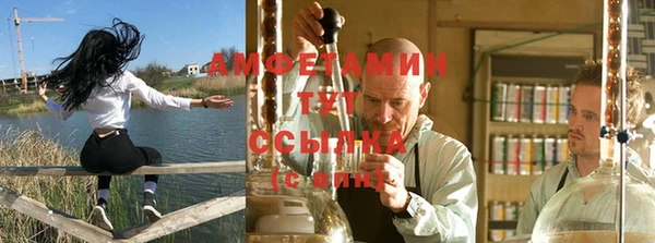 стафф Абаза