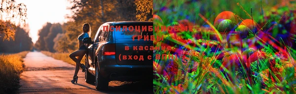 стаф Абдулино
