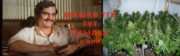 стафф Абаза