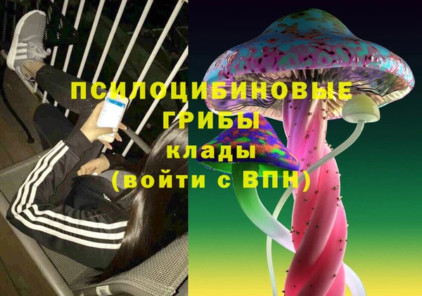 стафф Абаза